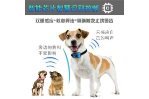 智能宠物方案